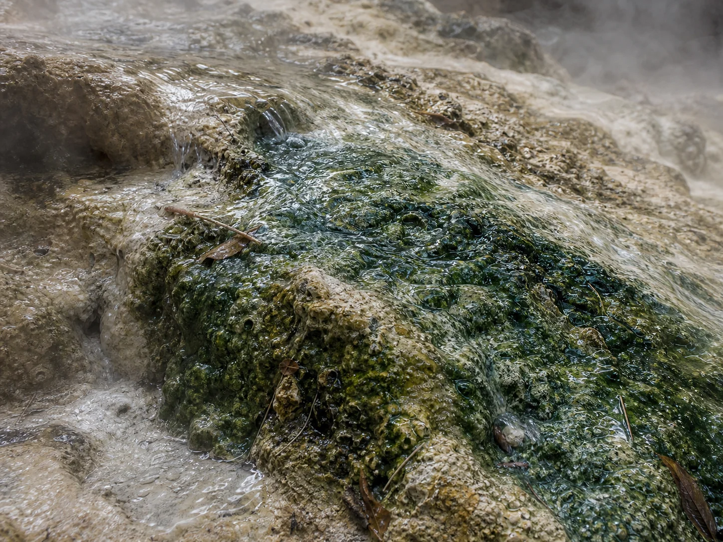 Mineral water and rock detail at Hot Springs National Park