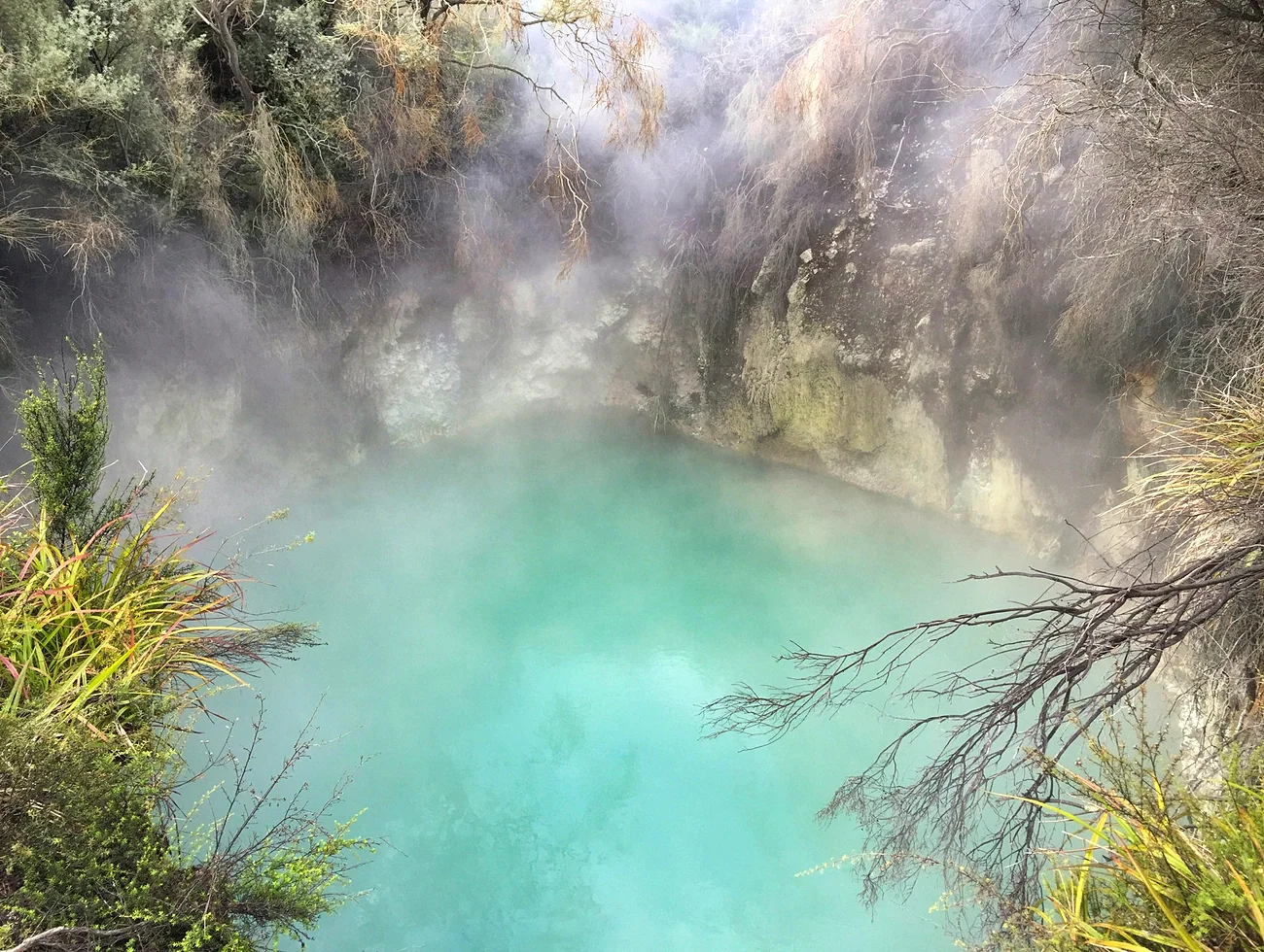 Olympic Hot Springs experience image