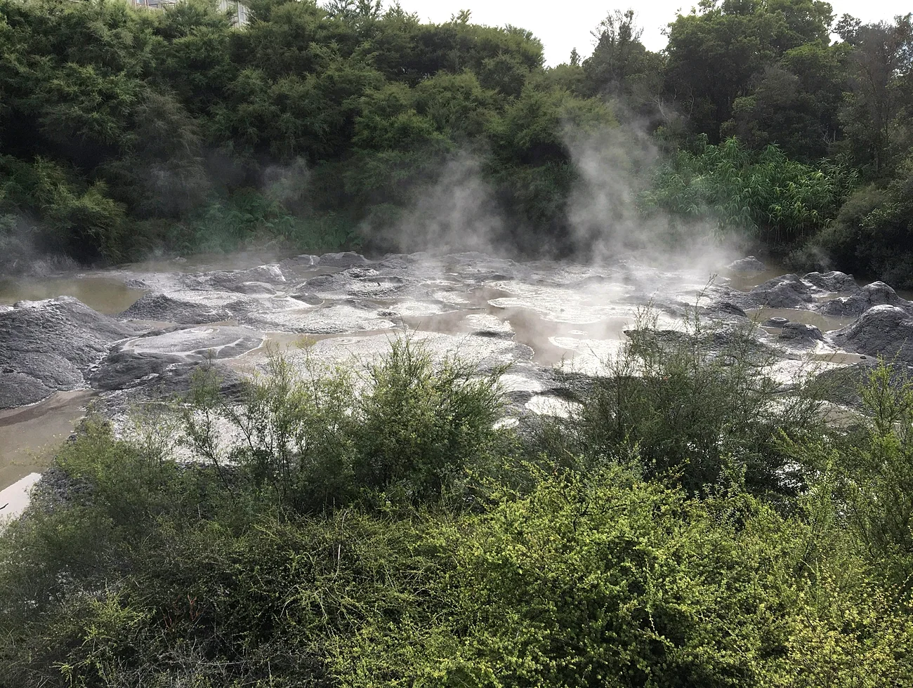 Olympic Hot Springs detail image