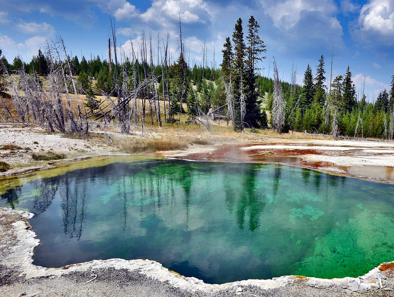 Umpqua Hot Springs experience image